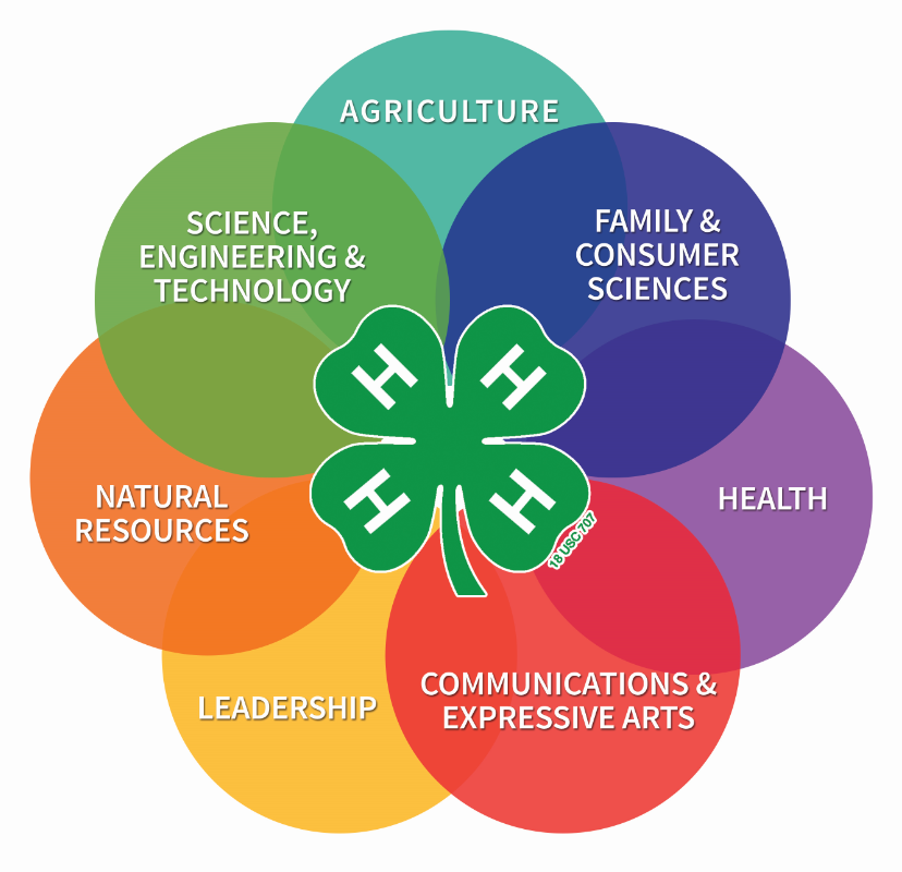 4-H Program